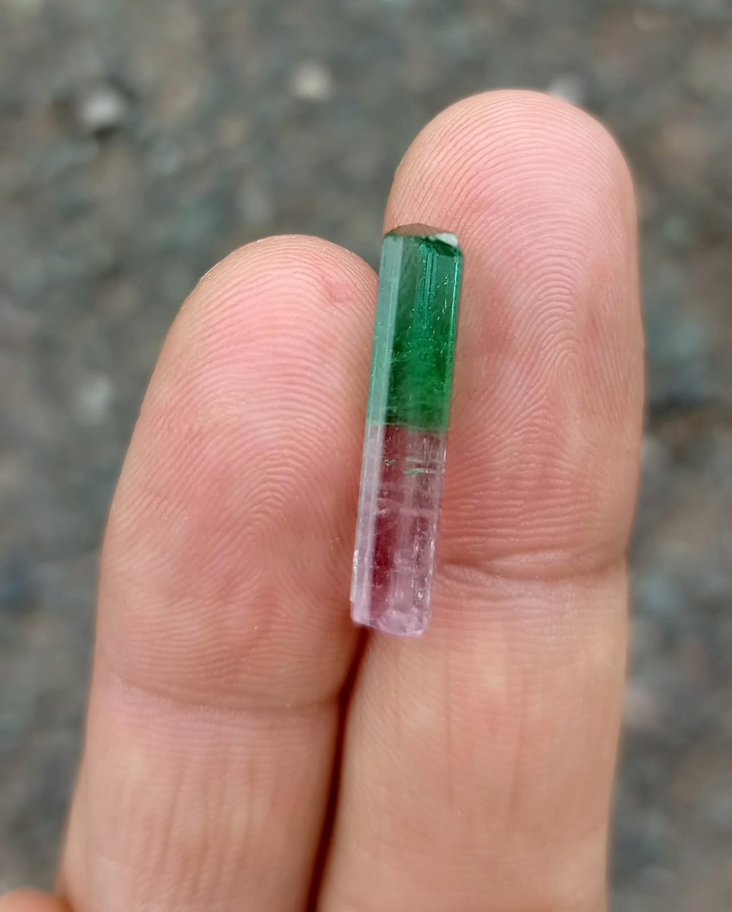 bi-color pink green tourmaline