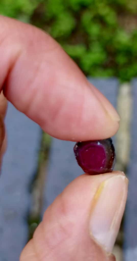 Watermelon Slice Tourmaline