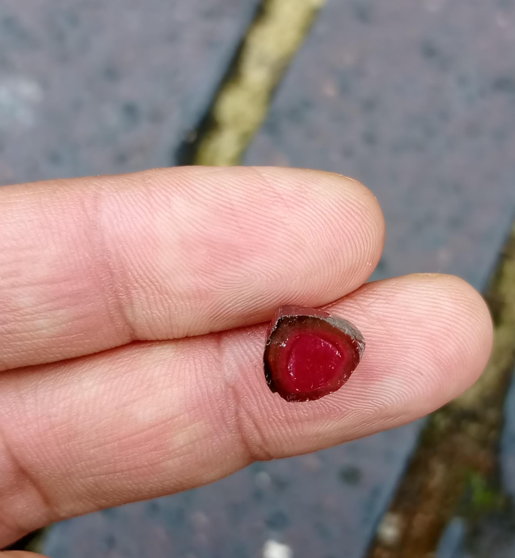 Watermelon Slice Tourmaline